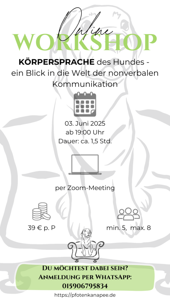 Workshop.zip 2