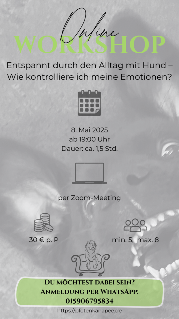 Workshop.zip 2