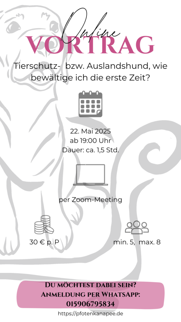 Workshop.zip 3