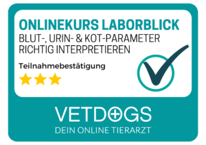 Bestätigung Teilnahme Laborblick