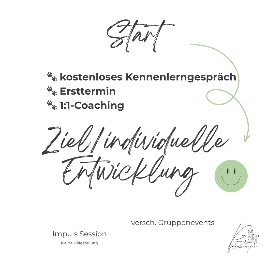 Ablauf Mensch-Hund-Coaching